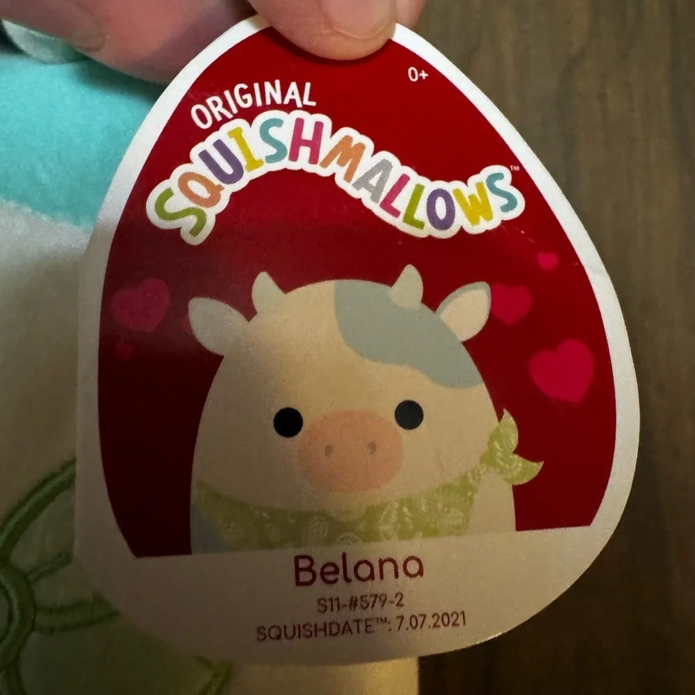 Squishmallows 11